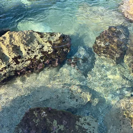Casa Brigida - Due Camere, Terrazzi E Aria Di Mare Διαμέρισμα